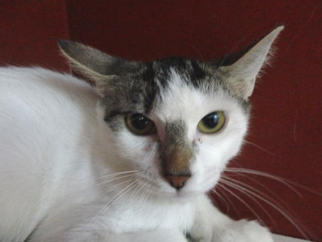 multimedia-foto35808-756-3