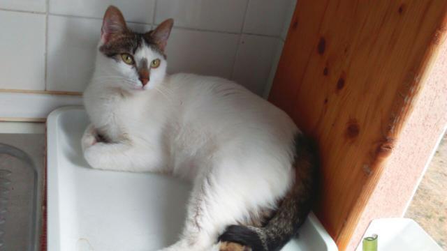 multimedia-foto35813-35-3