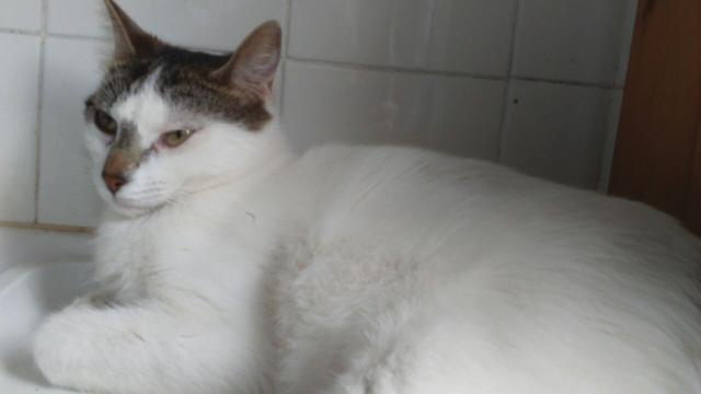 multimedia-foto35814-64-3