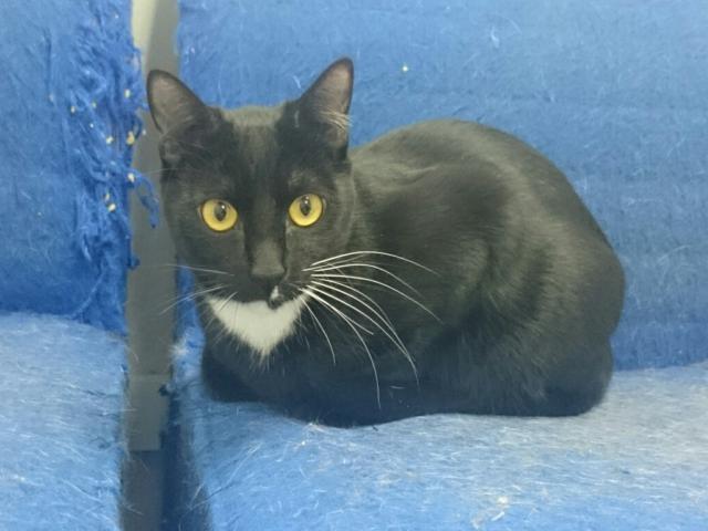 multimedia-foto35820-147-3