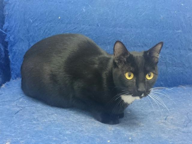 multimedia-foto35821-330-3