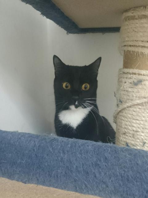 multimedia-foto35822-496-3