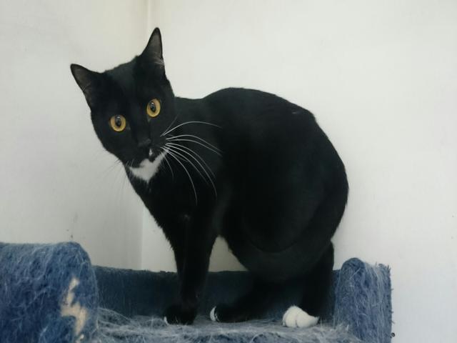 multimedia-foto35823-640-3