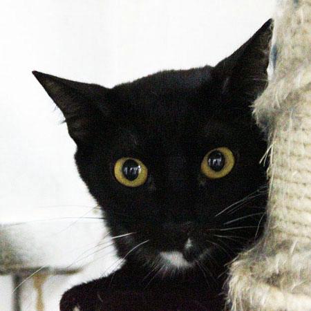 multimedia-foto35824-763-3