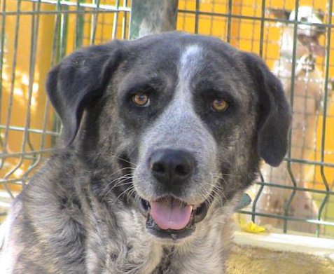 multimedia-foto35827-526-3