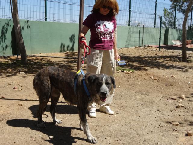 multimedia-foto35829-958-3