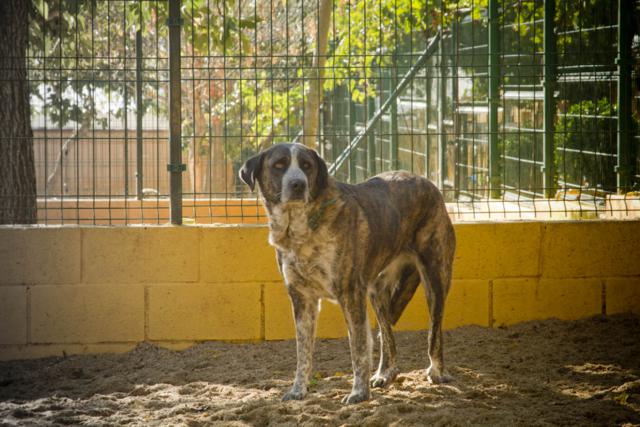 multimedia-foto35833-647-3