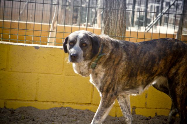 multimedia-foto35834-769-3