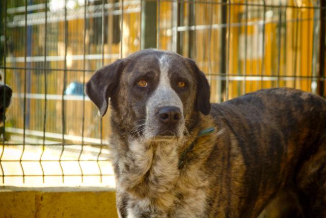 multimedia-foto35836-920-3