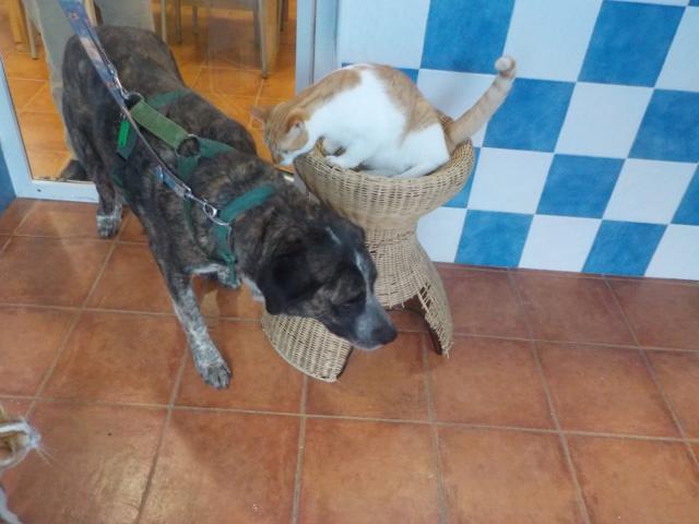 multimedia-foto35838-6-3