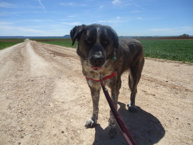 multimedia-foto35840-39-3