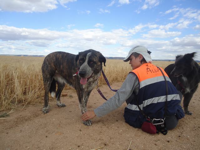 multimedia-foto35841-68-3