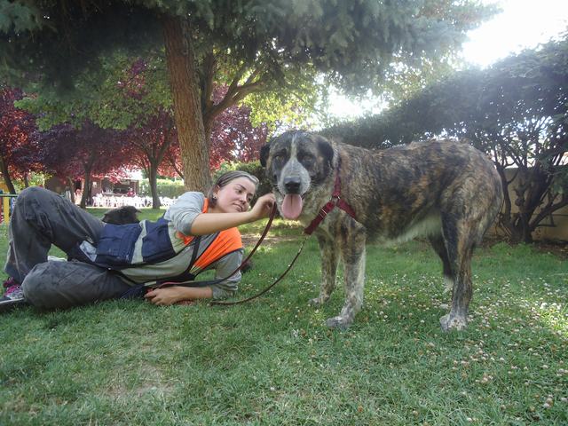 multimedia-foto35842-91-3