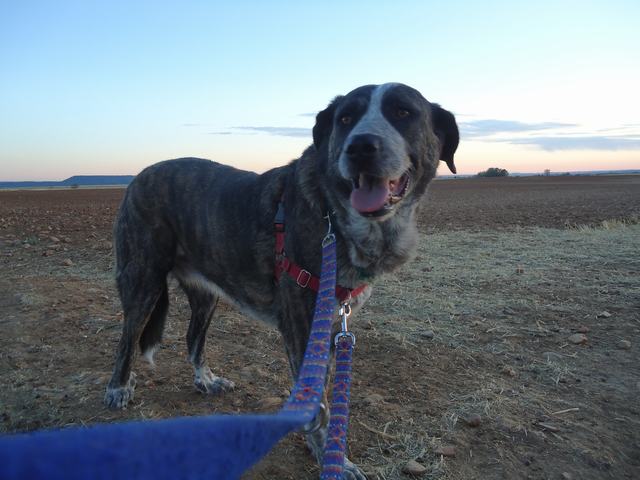 multimedia-foto35844-125-3