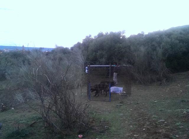 multimedia-foto35846-140-3