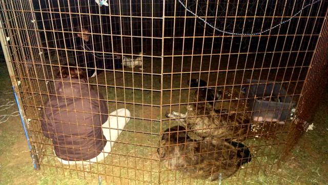 multimedia-foto35847-143-3