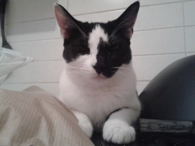 multimedia-foto35850-317-3