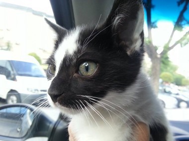 multimedia-foto35851-543-3