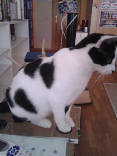 multimedia-foto35852-764-3