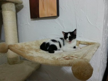 multimedia-foto35853-974-3