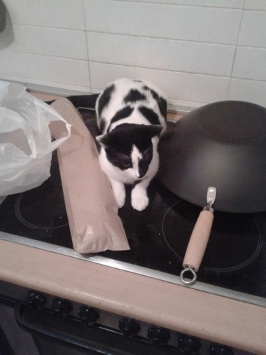 multimedia-foto35854-175-3