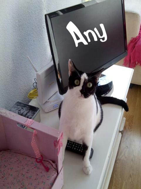 multimedia-foto35856-518-3