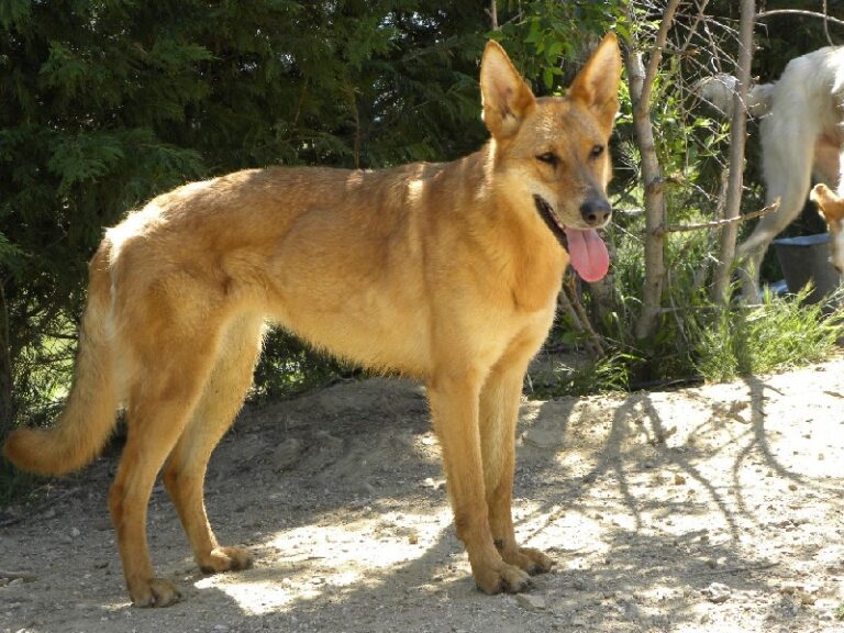 multimedia-foto35864-331-3