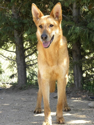 multimedia-foto35865-558-3