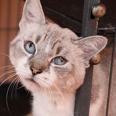 multimedia-foto35878-344-3