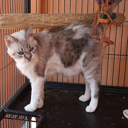 multimedia-foto35879-570-3