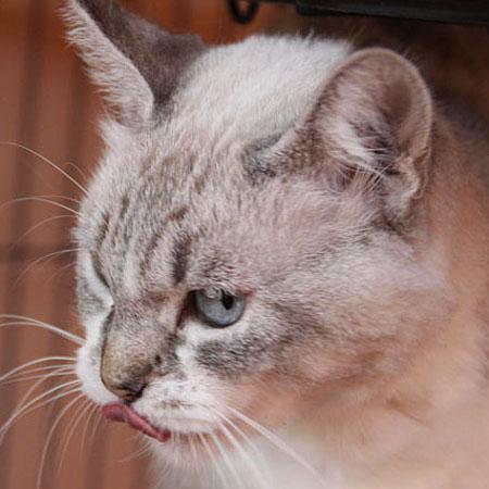 multimedia-foto35881-2-3