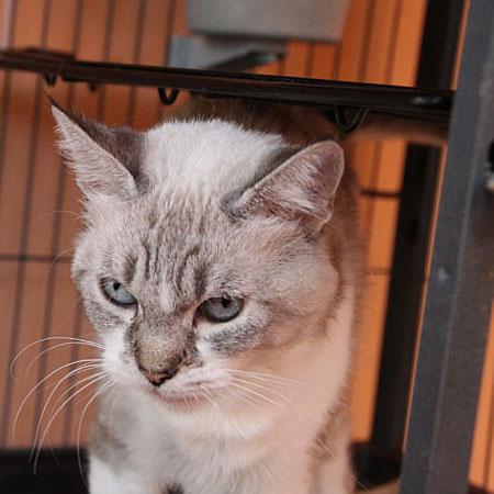 multimedia-foto35882-197-3