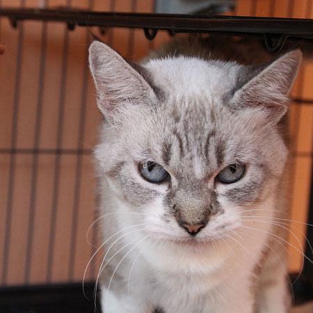 multimedia-foto35883-375-3