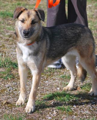 multimedia-foto35921-385-3