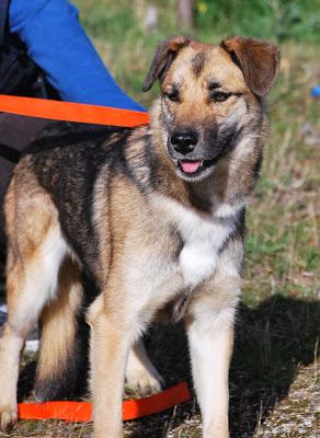 multimedia-foto35922-610-3