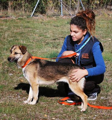 multimedia-foto35923-828-3