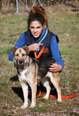 multimedia-foto35924-33-3