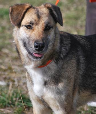 multimedia-foto35926-404-3