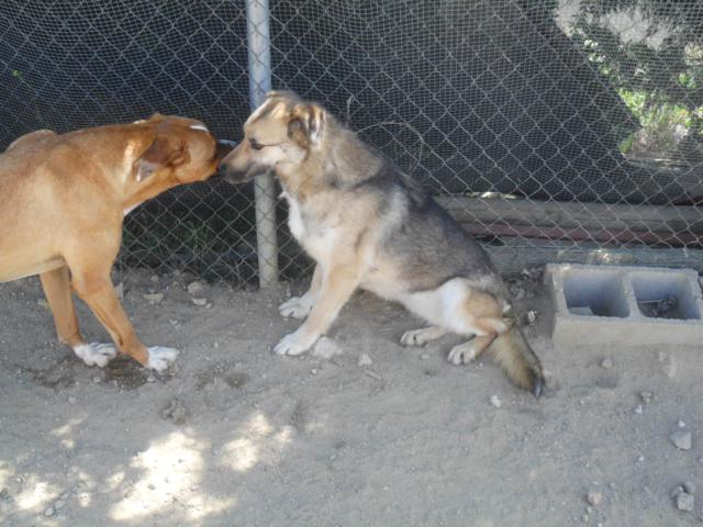 multimedia-foto35928-692-3