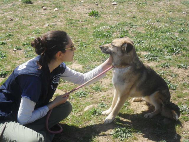 multimedia-foto35929-806-3