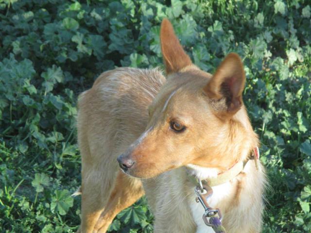 multimedia-foto35935-397-3