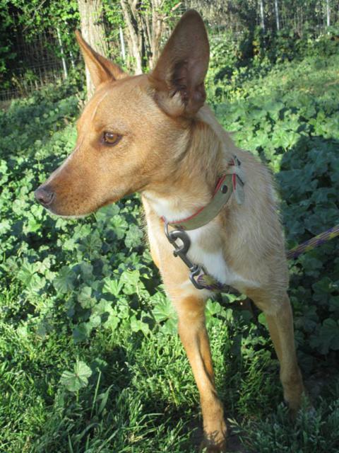 multimedia-foto35936-621-3