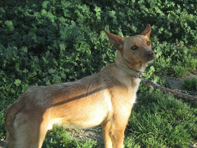 multimedia-foto35937-839-3