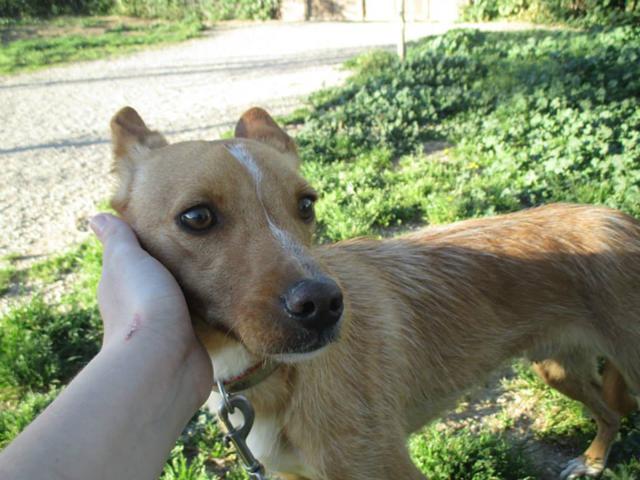 multimedia-foto35938-44-3