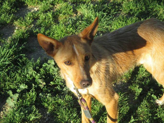 multimedia-foto35939-240-3