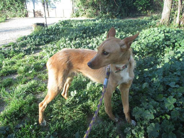 multimedia-foto35940-412-3