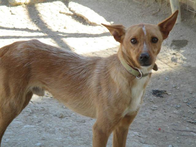 multimedia-foto35941-567-3