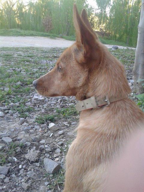 multimedia-foto35942-698-3