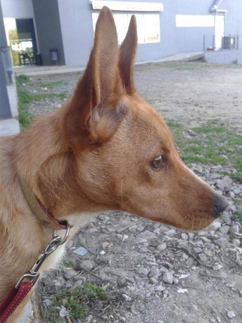 multimedia-foto35943-811-3