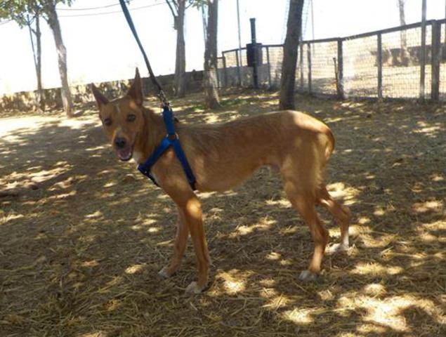 multimedia-foto35944-889-3